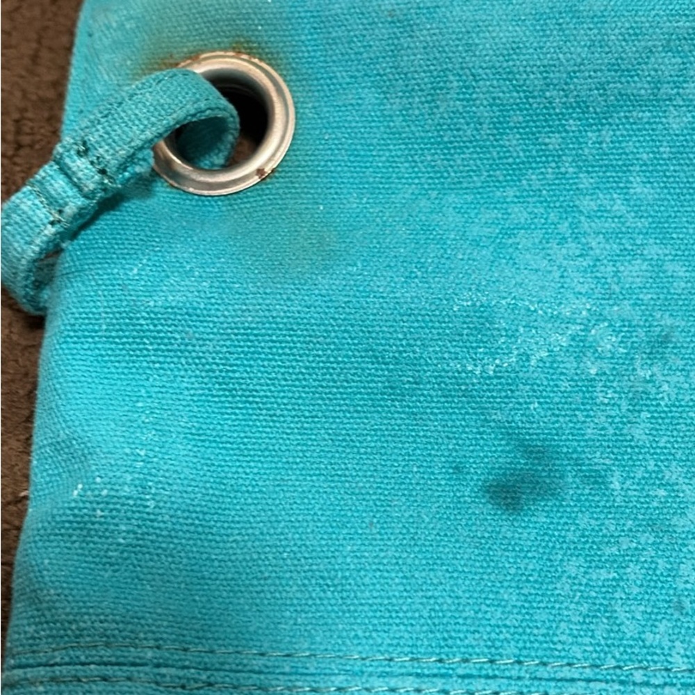 Ed Hardy Turquoise Parrot Graphic Canvas Tote - Picture 6 of 10